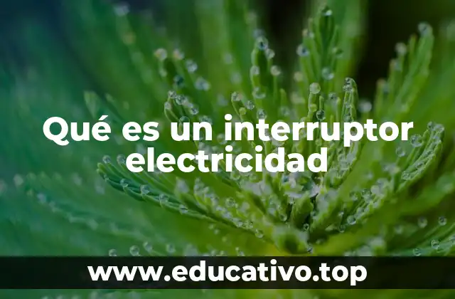 Qué es un interruptor electricidad
