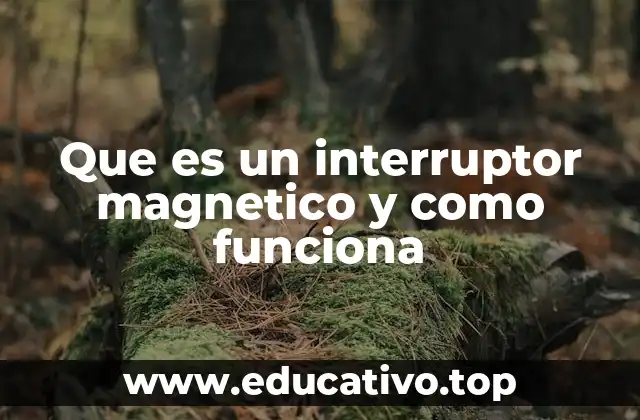 Que es un interruptor magnetico y como funciona