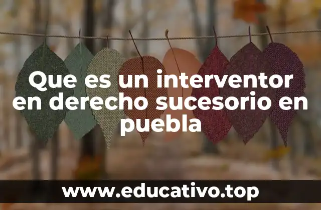 Que es un interventor en derecho sucesorio en puebla