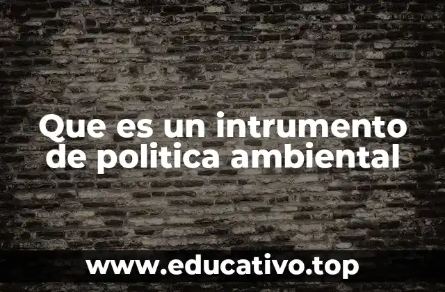 Que es un intrumento de politica ambiental