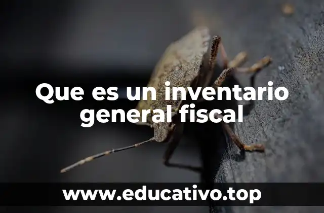 Que es un inventario general fiscal