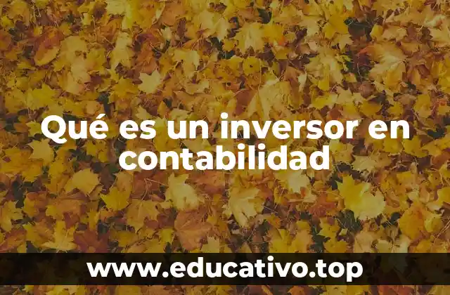Qué es un inversor en contabilidad