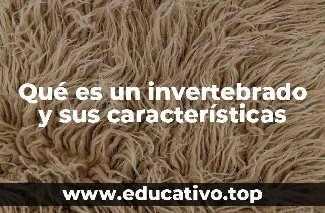 Qué es un invertebrado y sus características