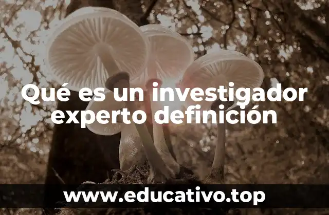 Qué es un investigador experto definición
