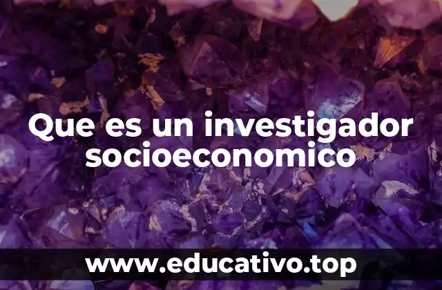 Que es un investigador socioeconomico