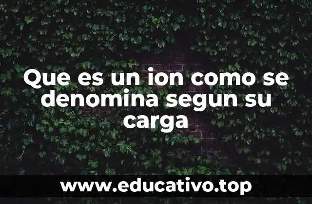 Que es un ion como se denomina segun su carga