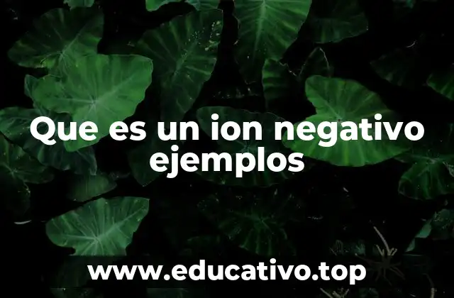 Que es un ion negativo ejemplos