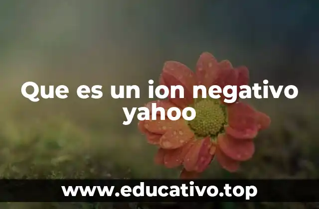 Que es un ion negativo yahoo