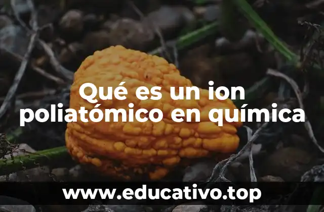 Qué es un ion poliatómico en química