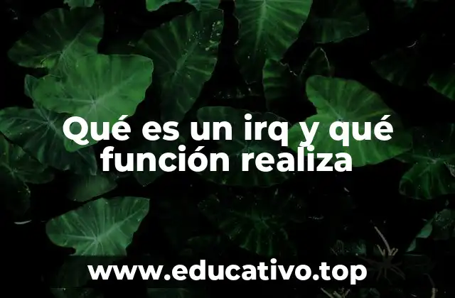 Qué es un irq y qué función realiza