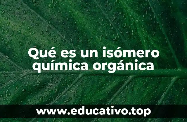 Qué es un isómero química orgánica