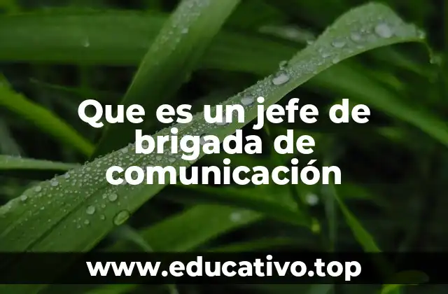 Que es un jefe de brigada de comunicación