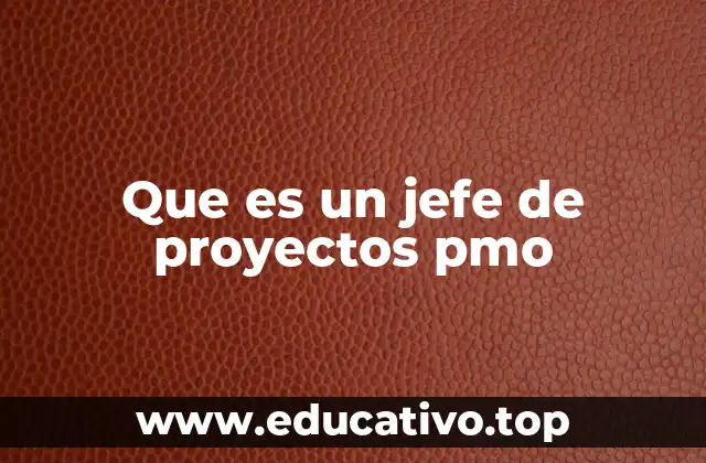 Que es un jefe de proyectos pmo