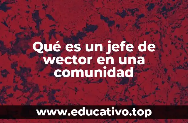Qué es un jefe de wector en una comunidad