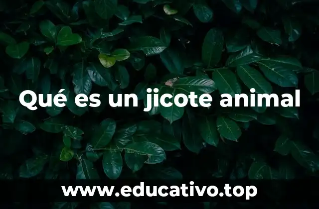 Qué es un jicote animal