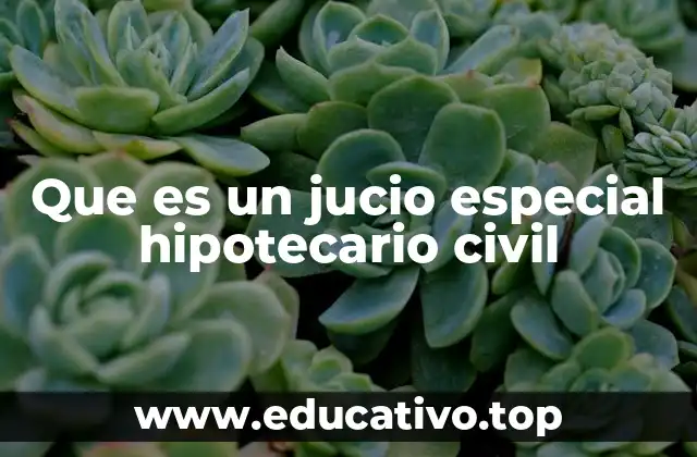 Que es un jucio especial hipotecario civil