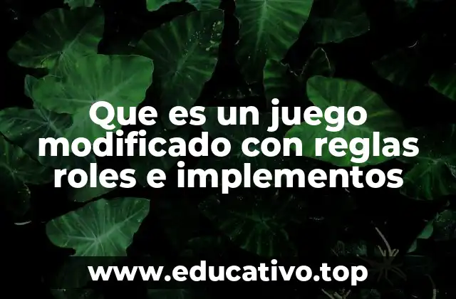 Que es un juego modificado con reglas roles e implementos