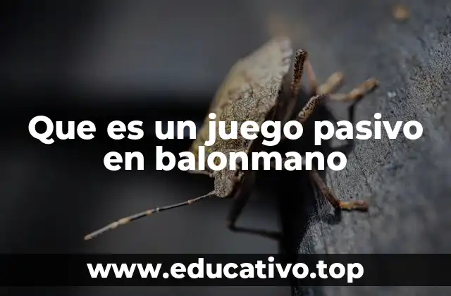 Que es un juego pasivo en balonmano