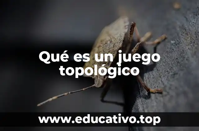 Qué es un juego topológico