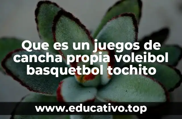 Que es un juegos de cancha propia voleibol basquetbol tochito