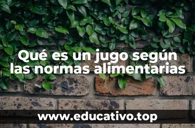 Qué es un jugo según las normas alimentarias