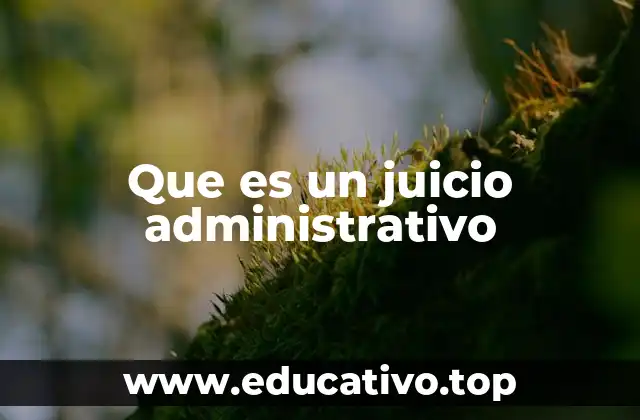 Que es un juicio administrativo