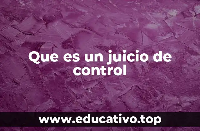 Que es un juicio de control