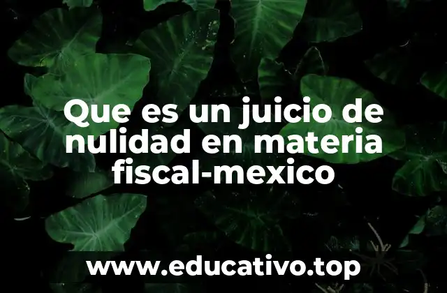 Que es un juicio de nulidad en materia fiscal-mexico