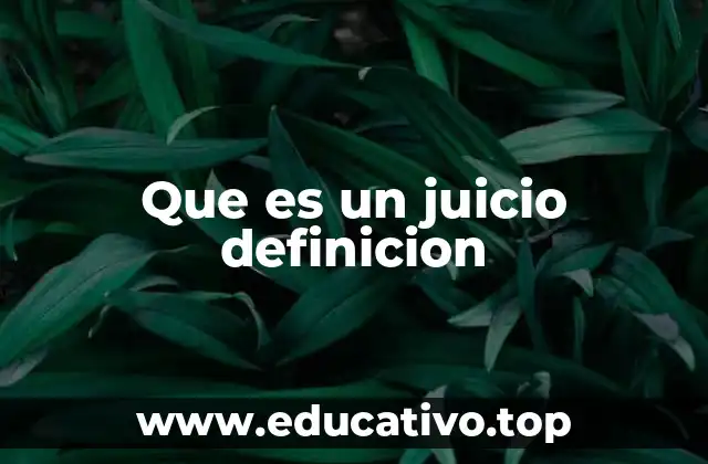 Que es un juicio definicion