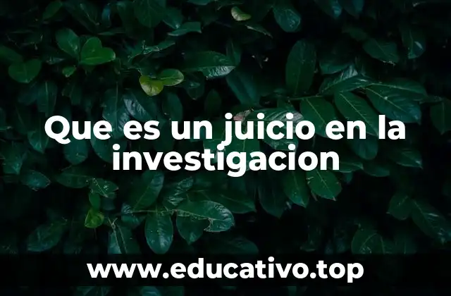 Que es un juicio en la investigacion