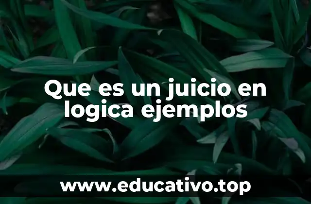 Que es un juicio en logica ejemplos