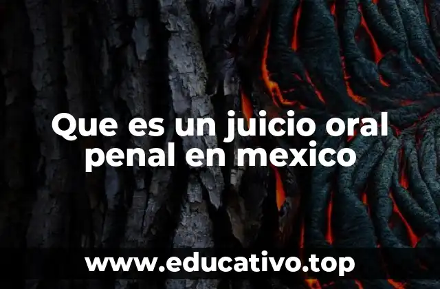 Que es un juicio oral penal en mexico