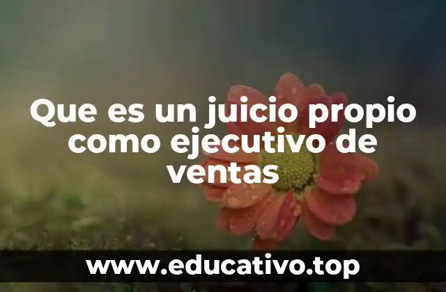 Que es un juicio propio como ejecutivo de ventas