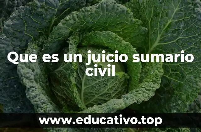 Que es un juicio sumario civil