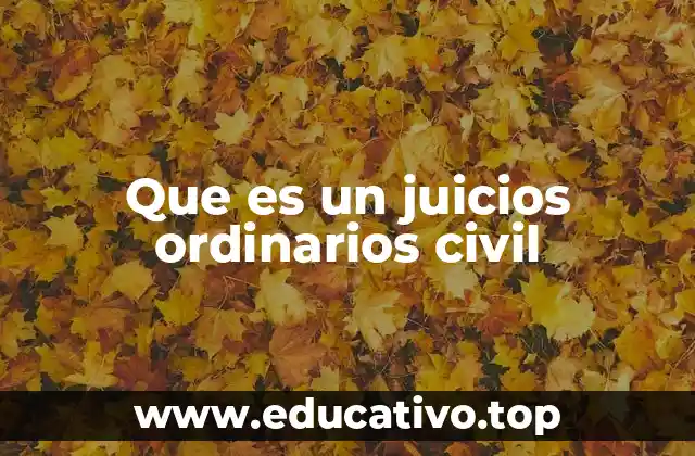Que es un juicios ordinarios civil