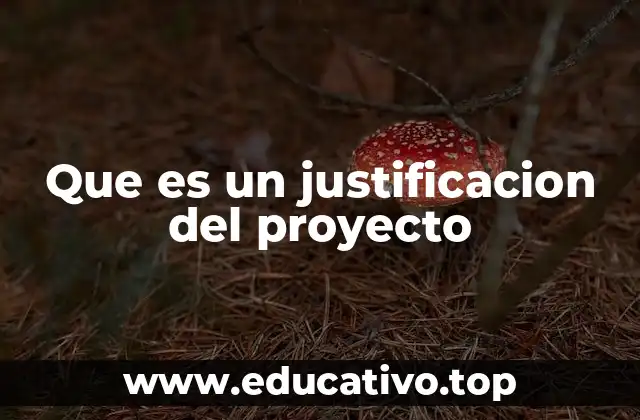Que es un justificacion del proyecto