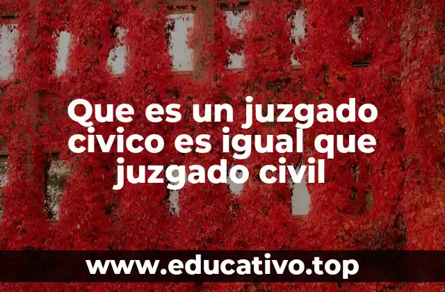 Que es un juzgado civico es igual que juzgado civil
