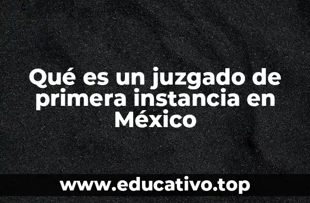 Qué es un juzgado de primera instancia en México