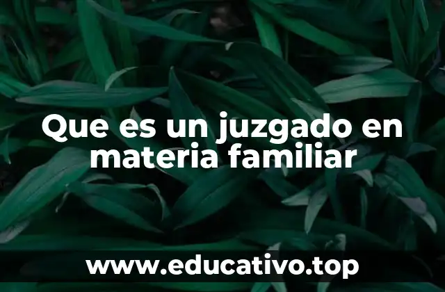 Que es un juzgado en materia familiar