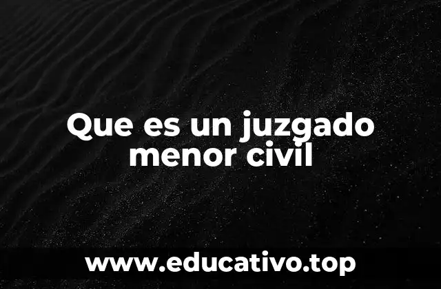 Que es un juzgado menor civil