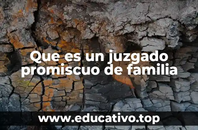 Que es un juzgado promiscuo de familia