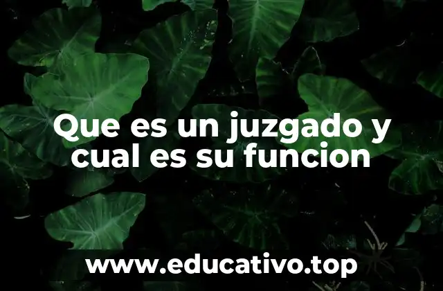 El papel del juzgado en la administración de justicia
