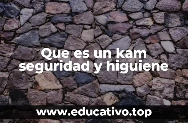 Que es un kam seguridad y higuiene