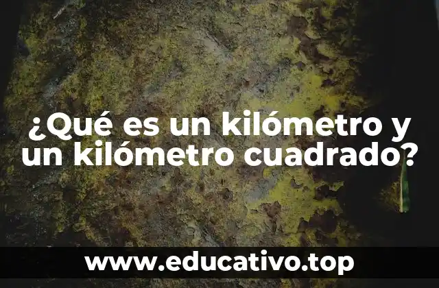 ¿Qué es un kilómetro y un kilómetro cuadrado?