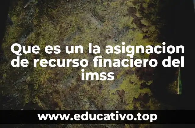 Que es un la asignacion de recurso finaciero del imss