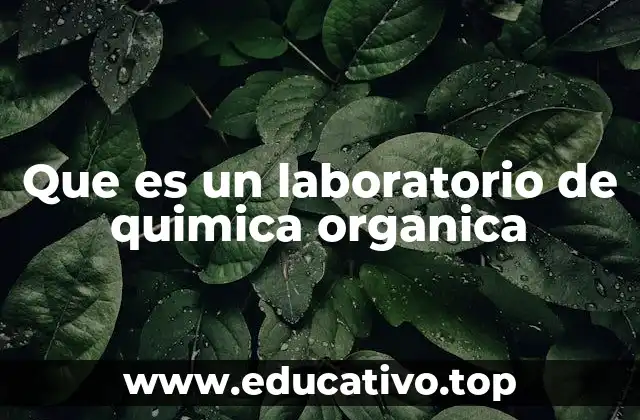 Que es un laboratorio de quimica organica