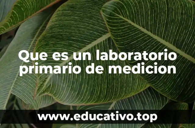 Que es un laboratorio primario de medicion