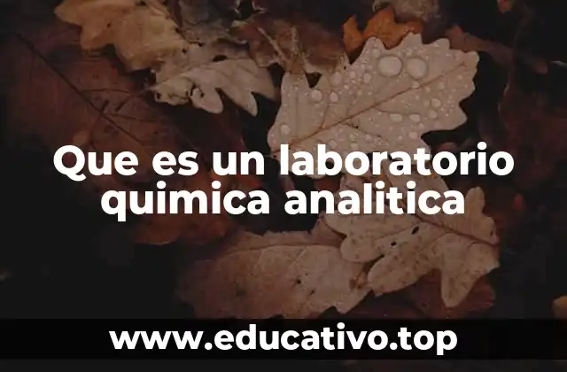 Que es un laboratorio quimica analitica