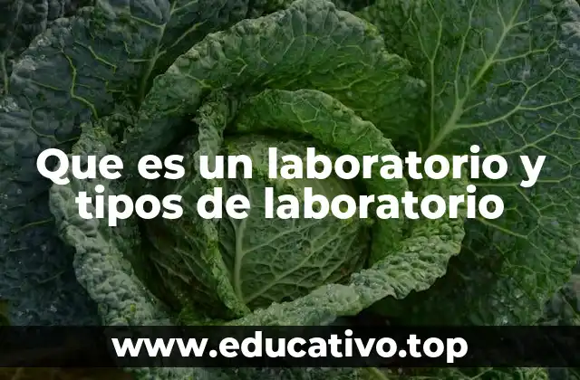 Que es un laboratorio y tipos de laboratorio