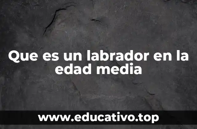 Que es un labrador en la edad media